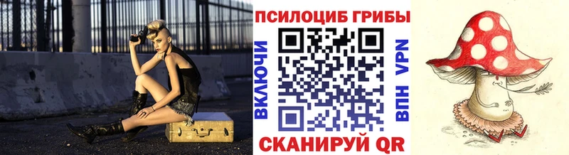 Галлюциногенные грибы Psilocybine cubensis  Воркута 
