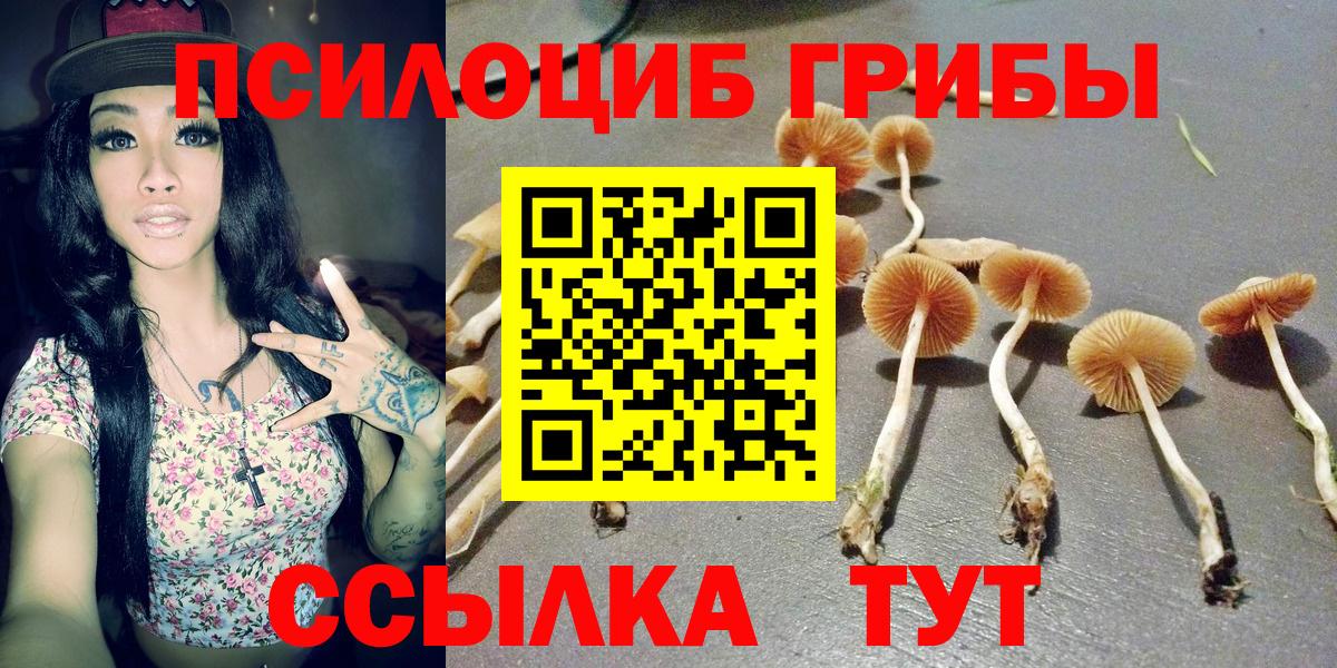 Галлюциногенные грибы мухоморы  Вход с VPN  Воркута 