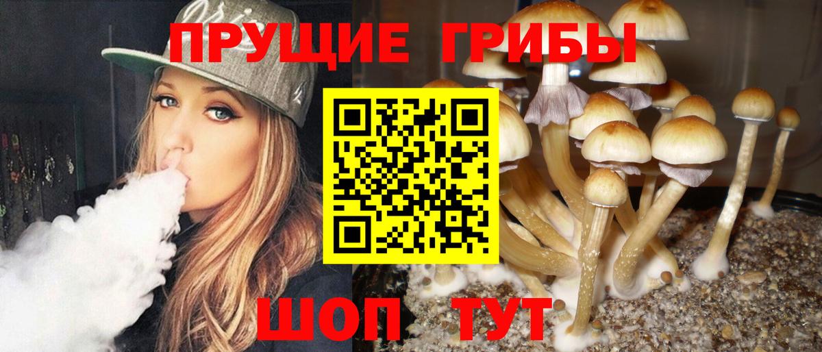 Псилоцибиновые грибы прущие грибы  Воркута 